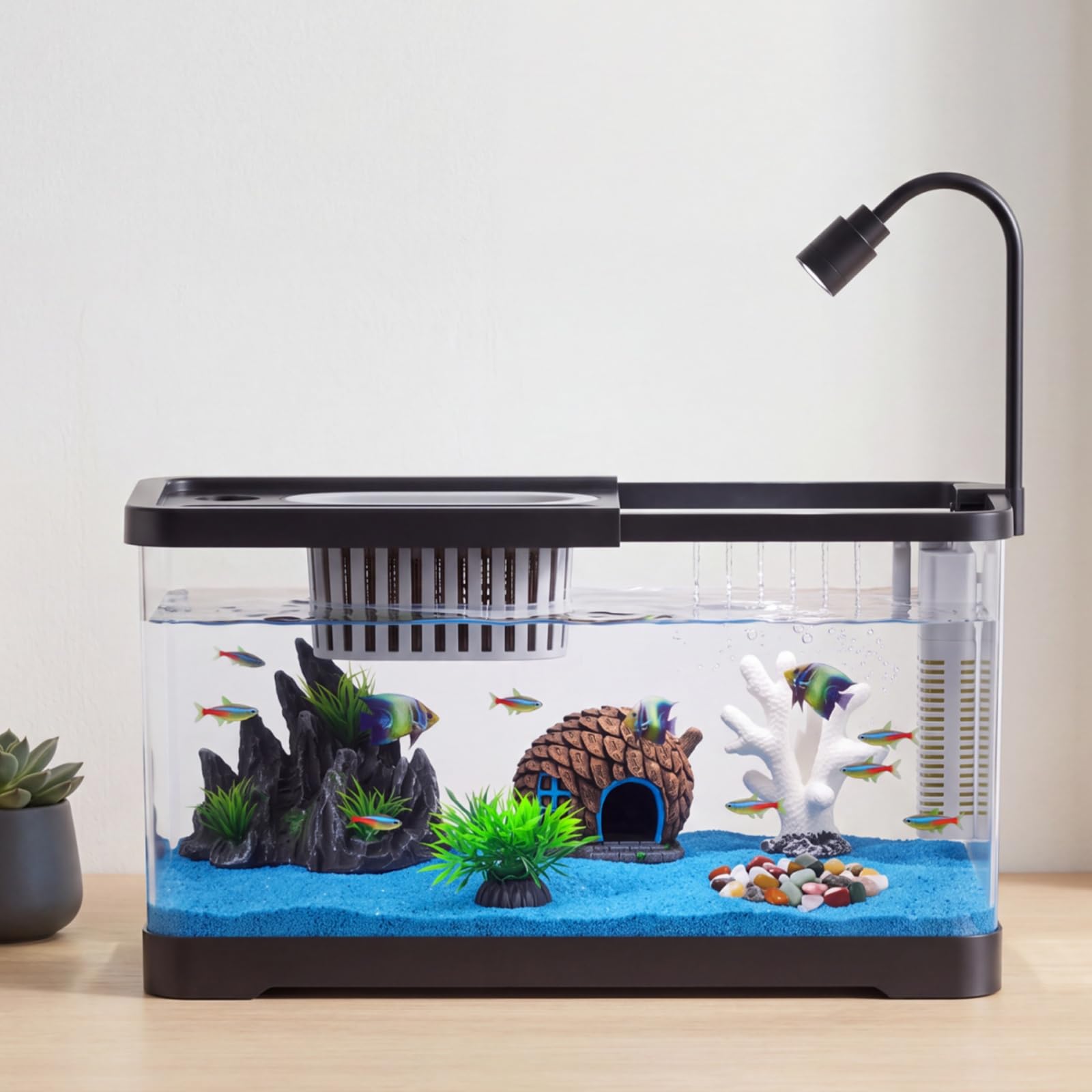 Aquarium Fish Betta - Fish Tank Starter Kit With Filter