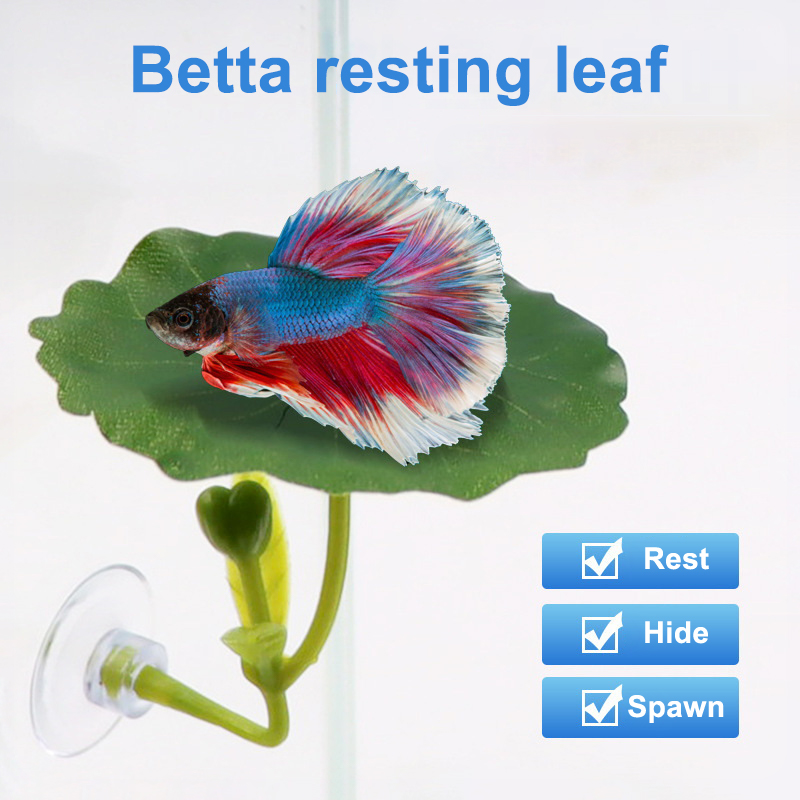 Aquarium Fish Betta - (Ce14)1/5PC Green Leaf Hammock For Betta