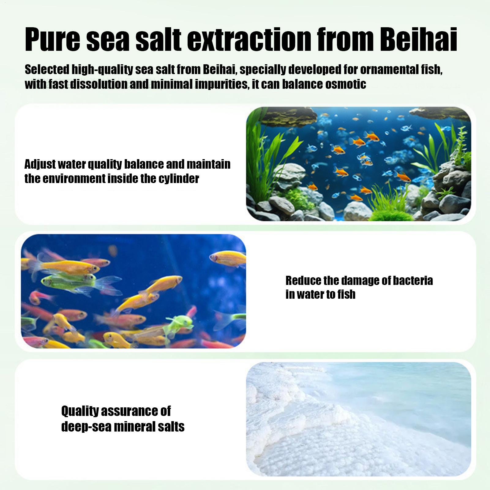 Fish Can Algae Remover Aquariu - Aquarium Fish Betta ulasan dan harga