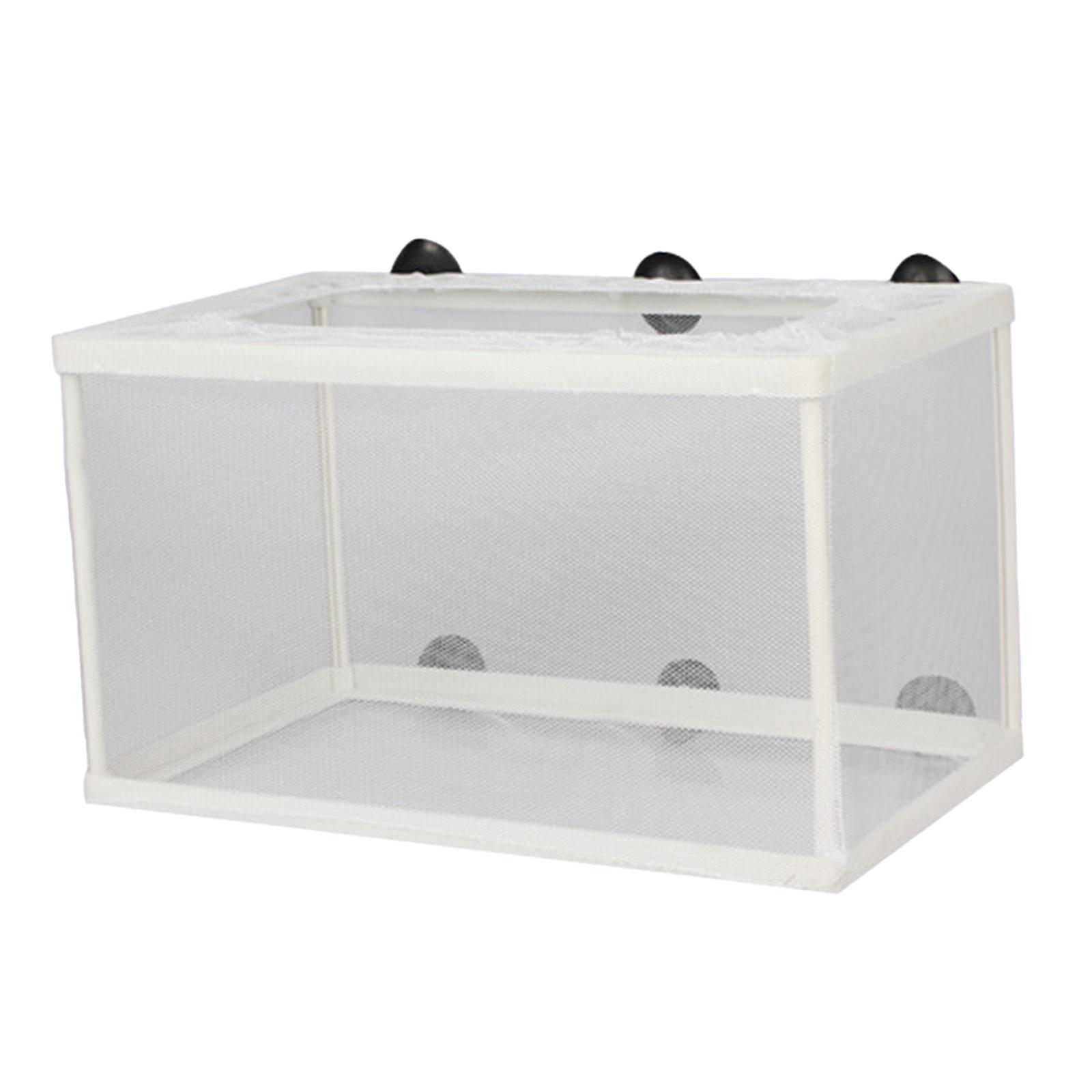 Fish Breeder Box Separation Ju - Aquarium Fish Trap ulasan dan harga