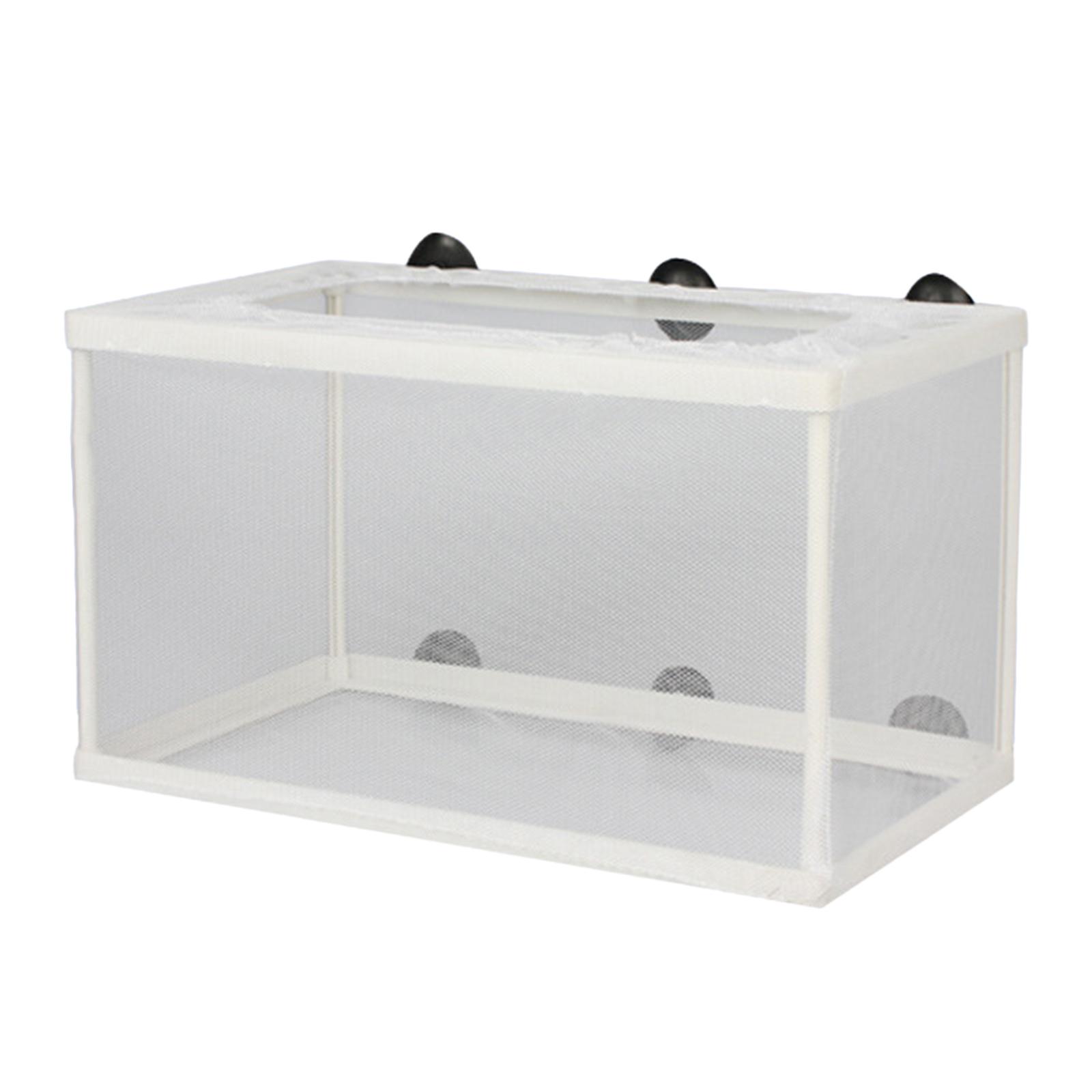 Fish Breeder Box Separation Ju - Aquarium Fish Trap ulasan dan harga
