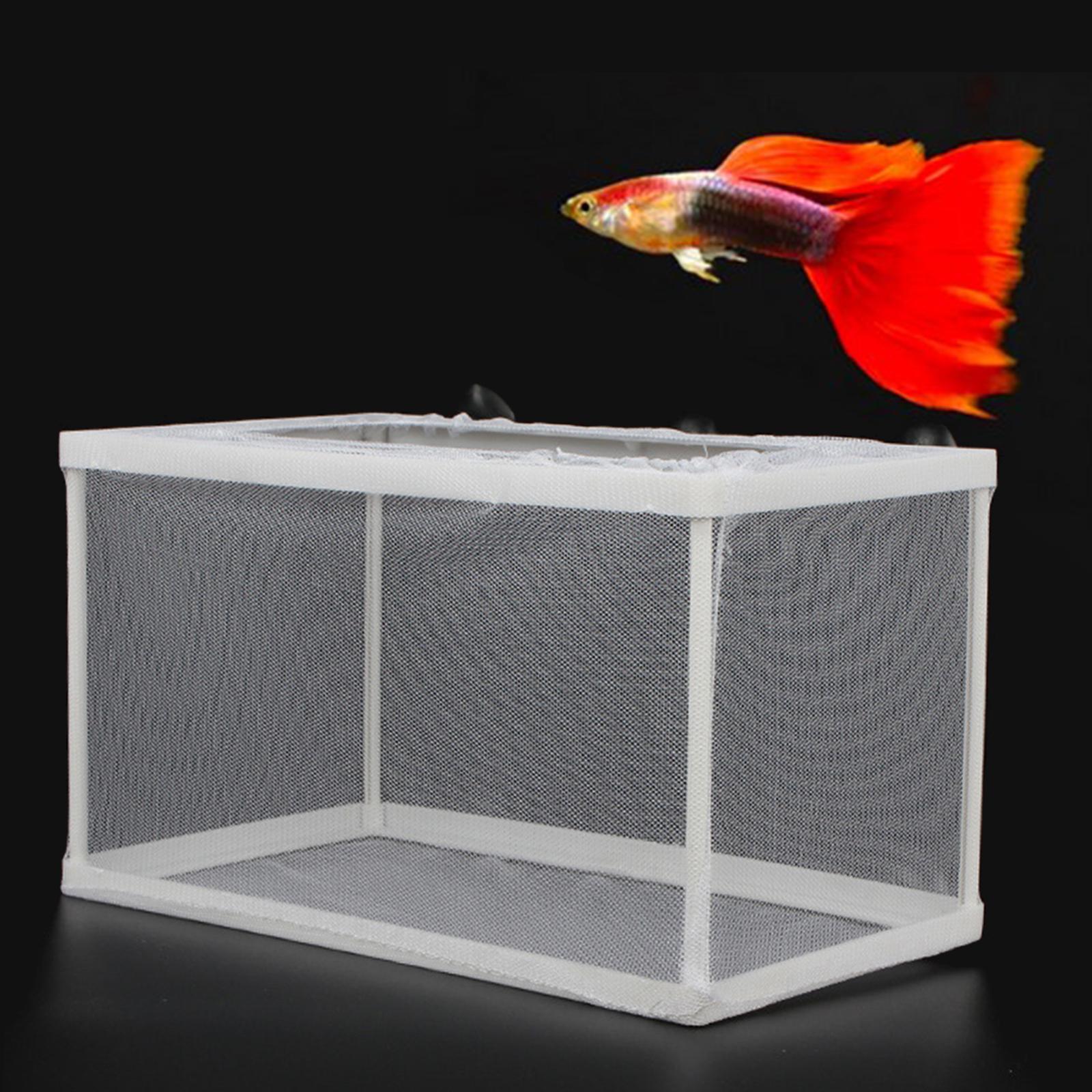 Fish Breeder Box Separation Ju - Aquarium Fish Trap ulasan dan harga