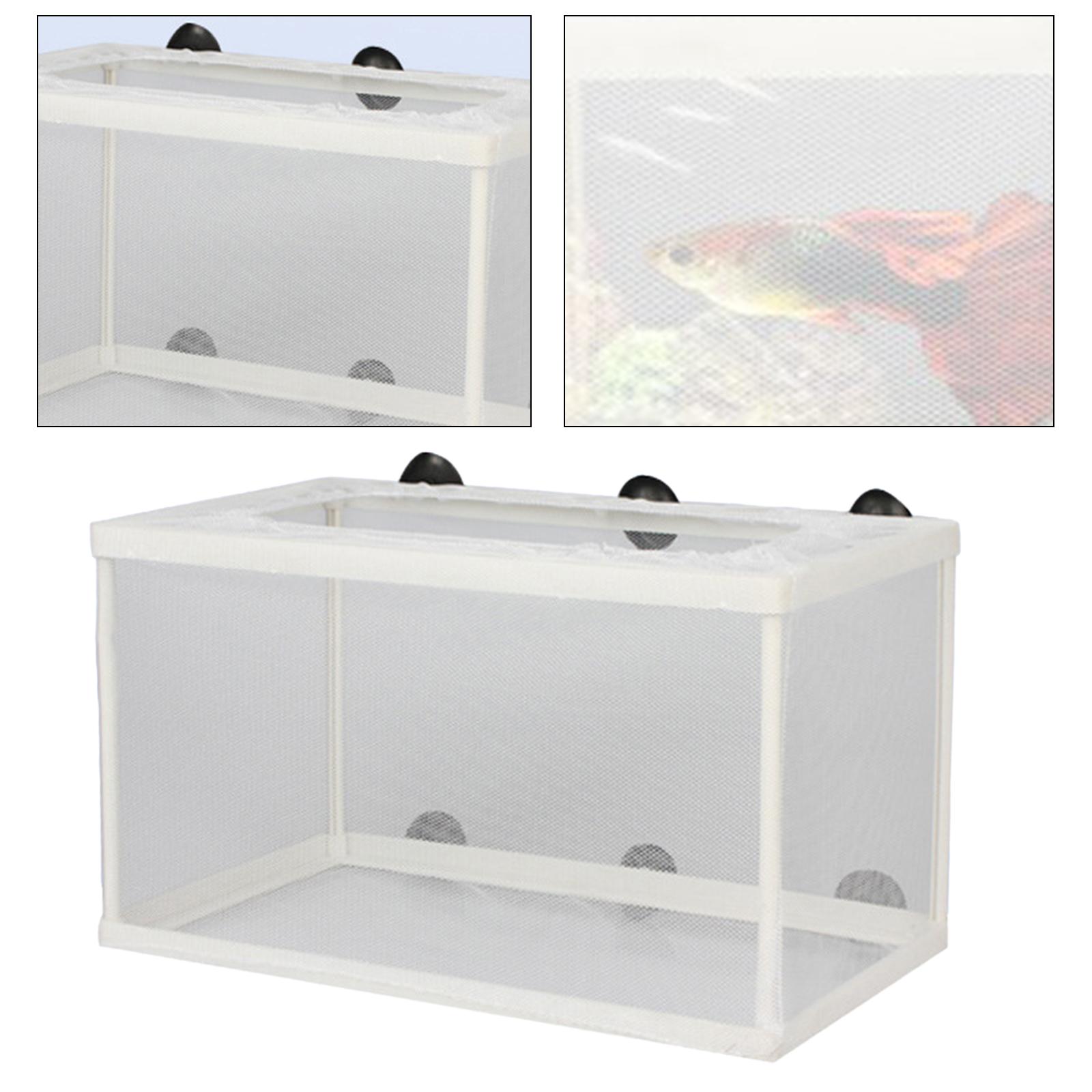 Fish Breeder Box Separation Ju - Aquarium Fish Trap ulasan dan harga