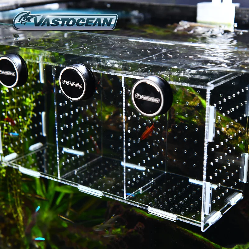 VASTOCEAN Fish Tank Magnetic C - Aquarium Fish Trap ulasan dan harga