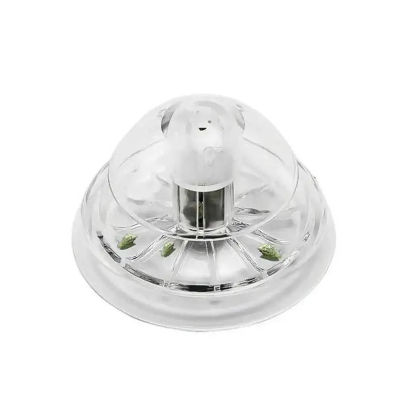 2026 New 6/8CM Clear Plastic S - Aquarium Fish Photography ulasan dan harga
