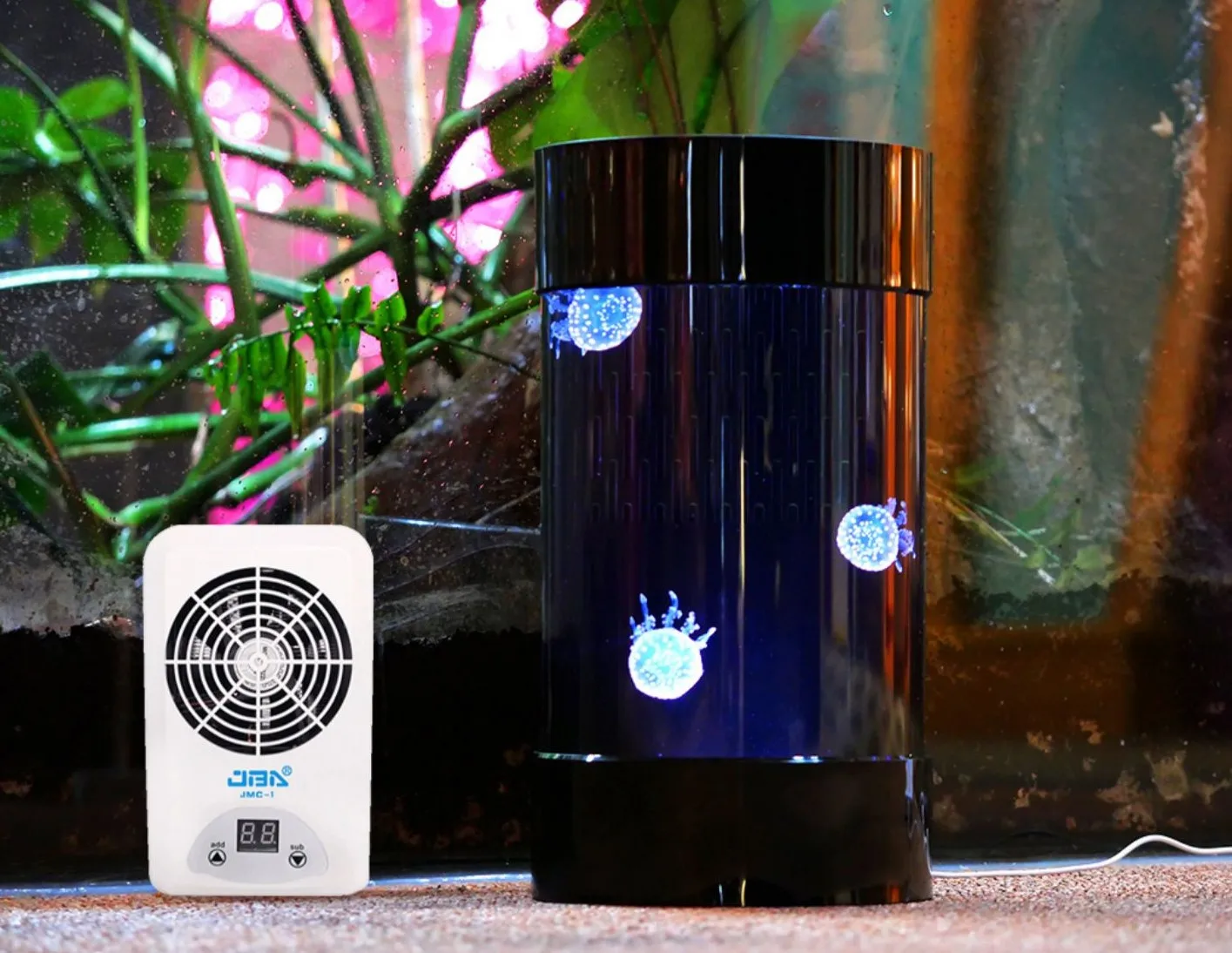 Best Amazon Sales Jellyfish Ta - Aquarium Fish Amazon ulasan dan harga