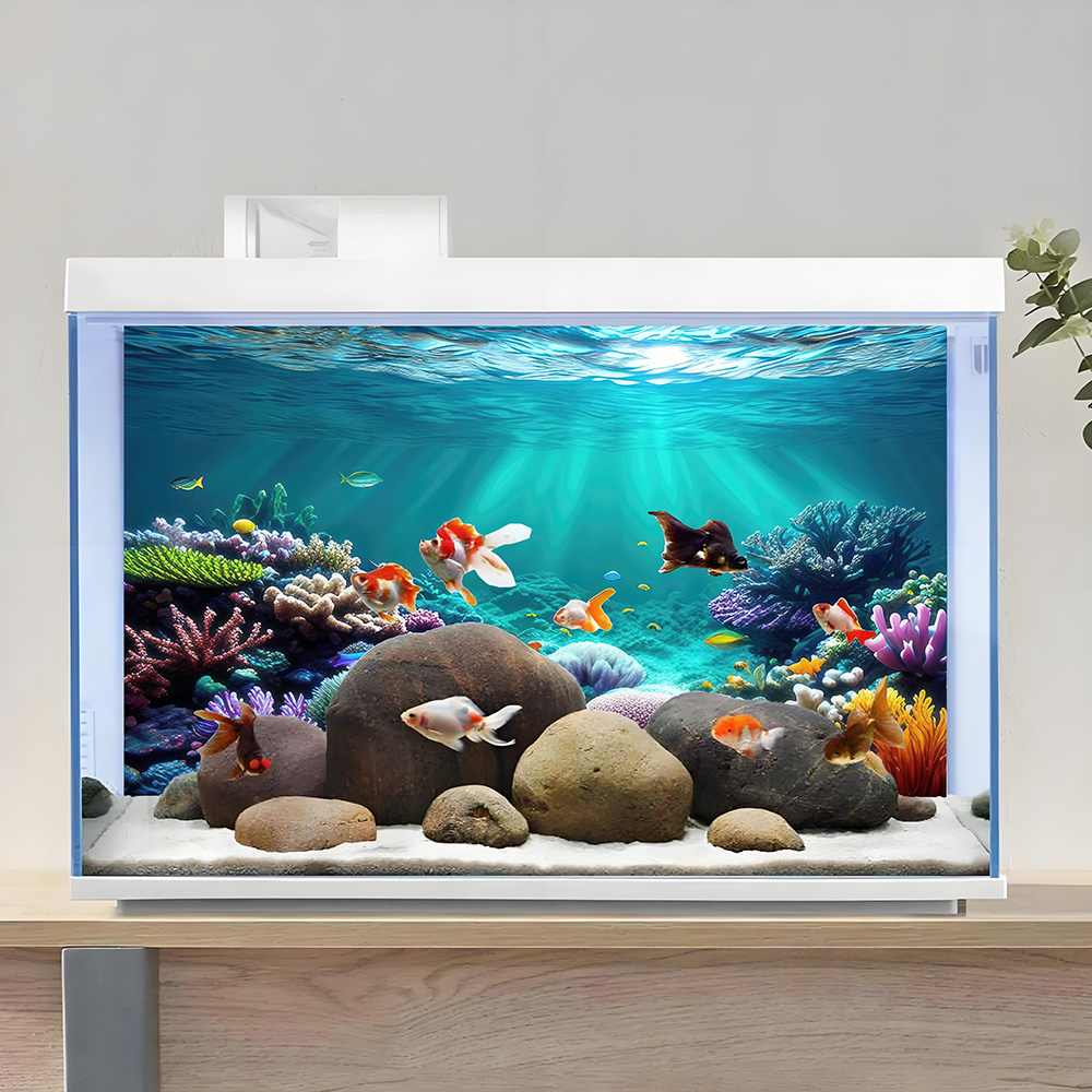 Aquarium Background, Backgroun - Aquarium Fish Rainbow ulasan dan harga