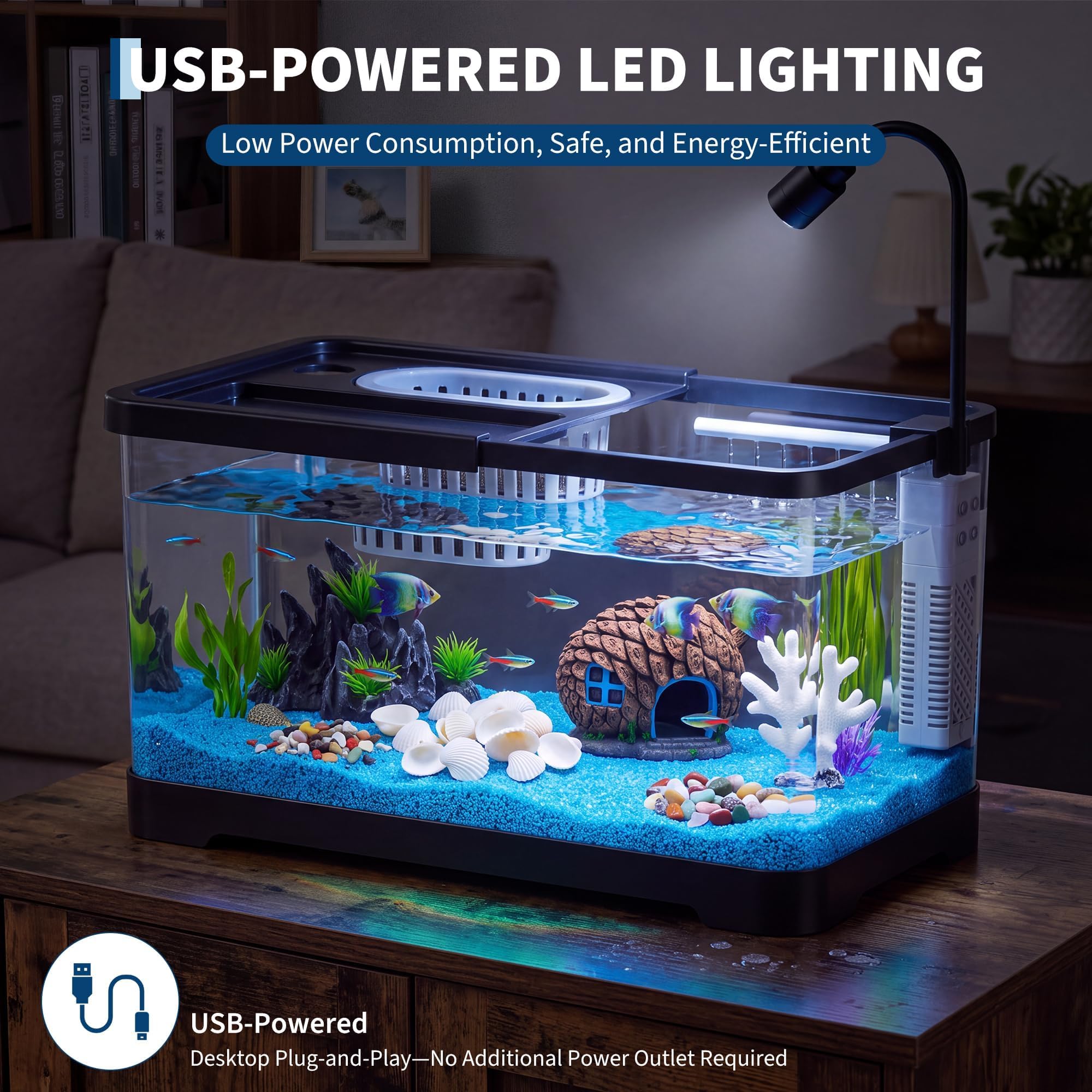 Fish Tank Starter Kit With Fil - Aquarium Fish Betta ulasan dan harga