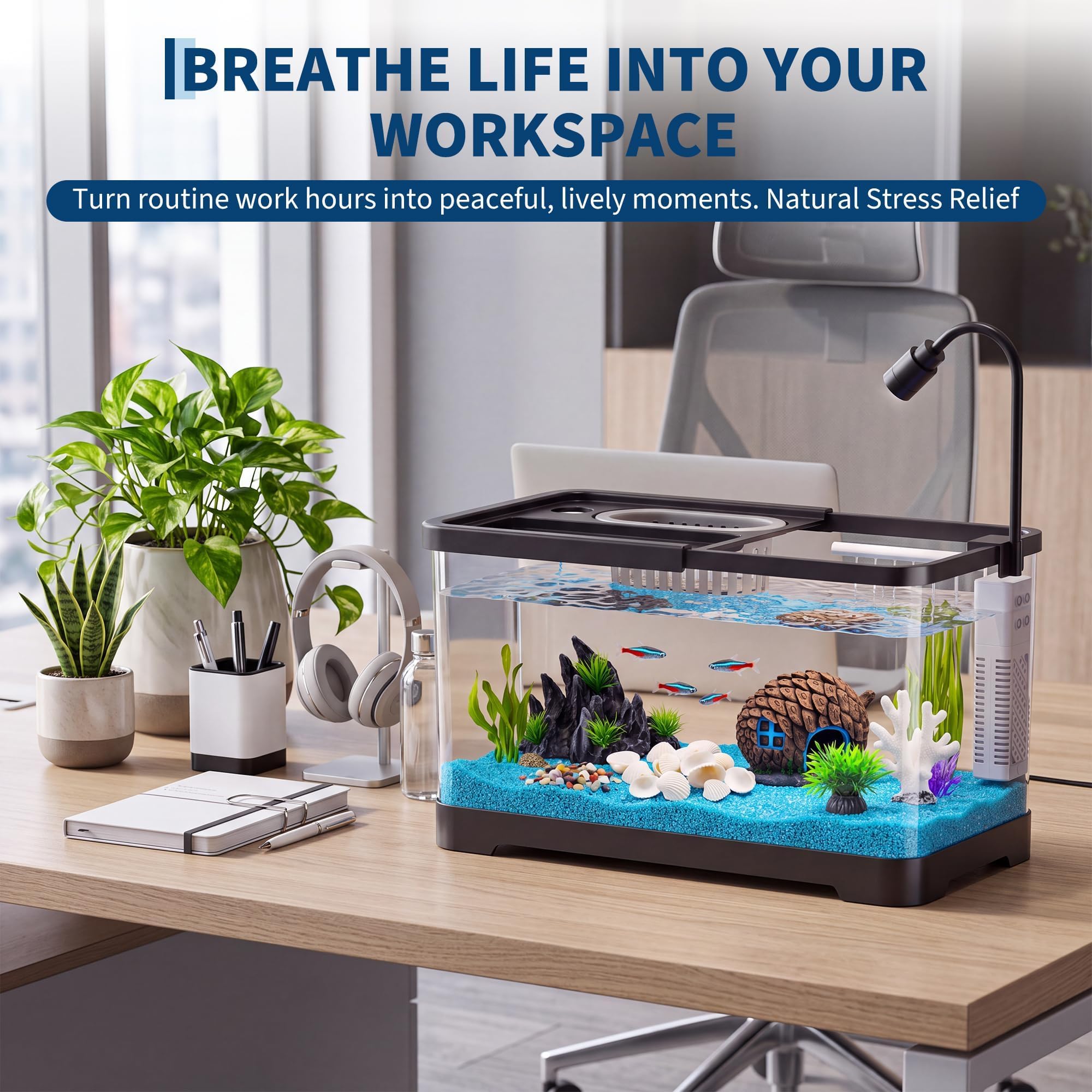 Fish Tank Starter Kit With Fil - Aquarium Fish Betta ulasan dan harga