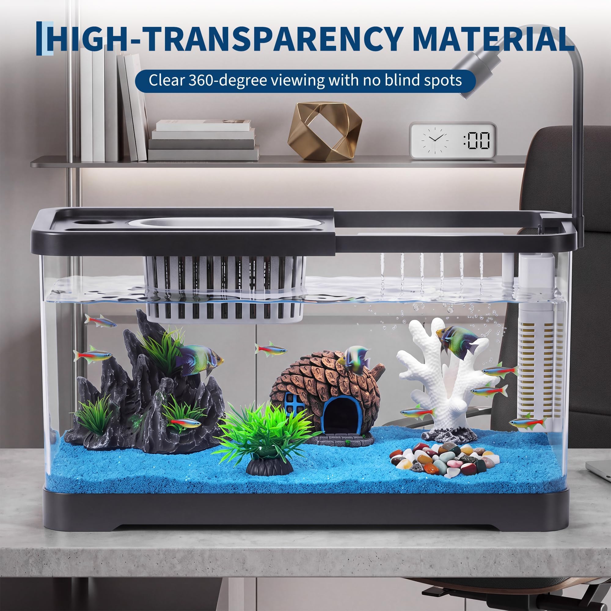 Fish Tank Starter Kit With Fil - Aquarium Fish Betta ulasan dan harga