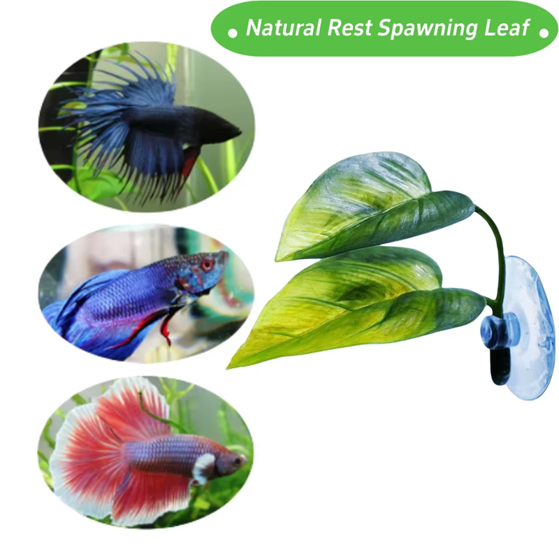 Aquarium Pet Supplies Decorati - Aquarium Fish Betta ulasan dan harga