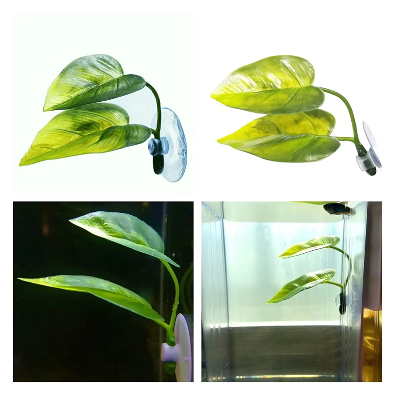 Aquarium Pet Supplies Decorati - Aquarium Fish Betta ulasan dan harga