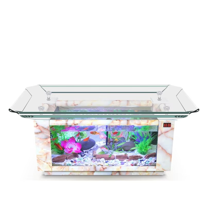 2026 Marine Fish Tank Price fo - Aquarium Fish High Price ulasan dan harga