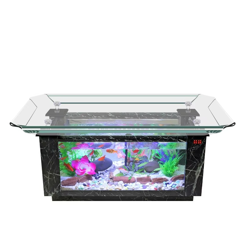 2026 Marine Fish Tank Price fo - Aquarium Fish High Price ulasan dan harga