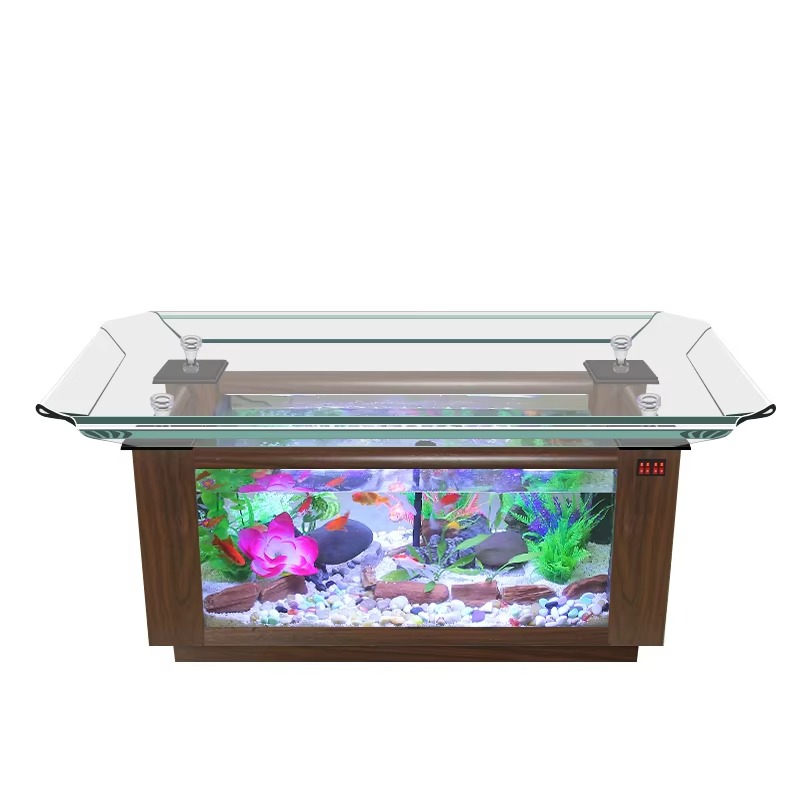 2026 Marine Fish Tank Price fo - Aquarium Fish High Price ulasan dan harga