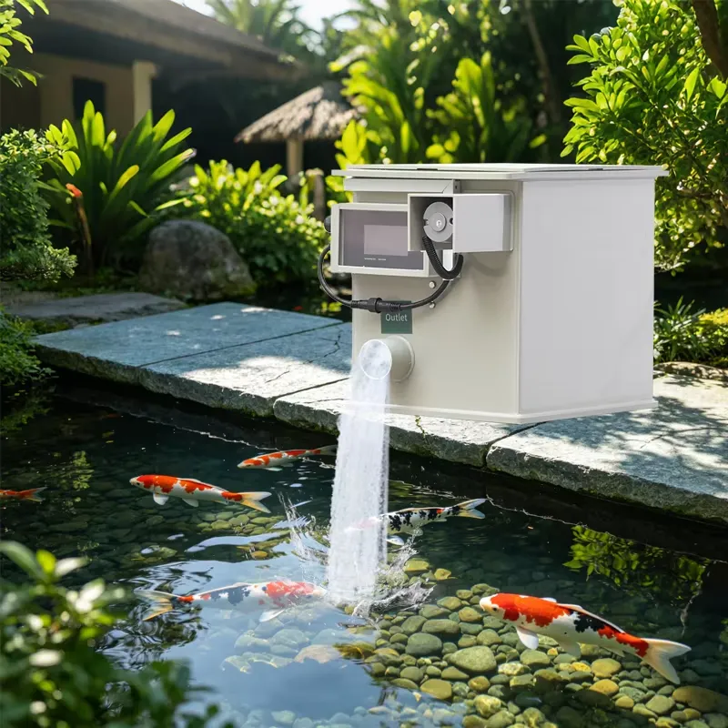 QihangRAS Factory Price High Q - Aquarium Fish High Price ulasan dan harga