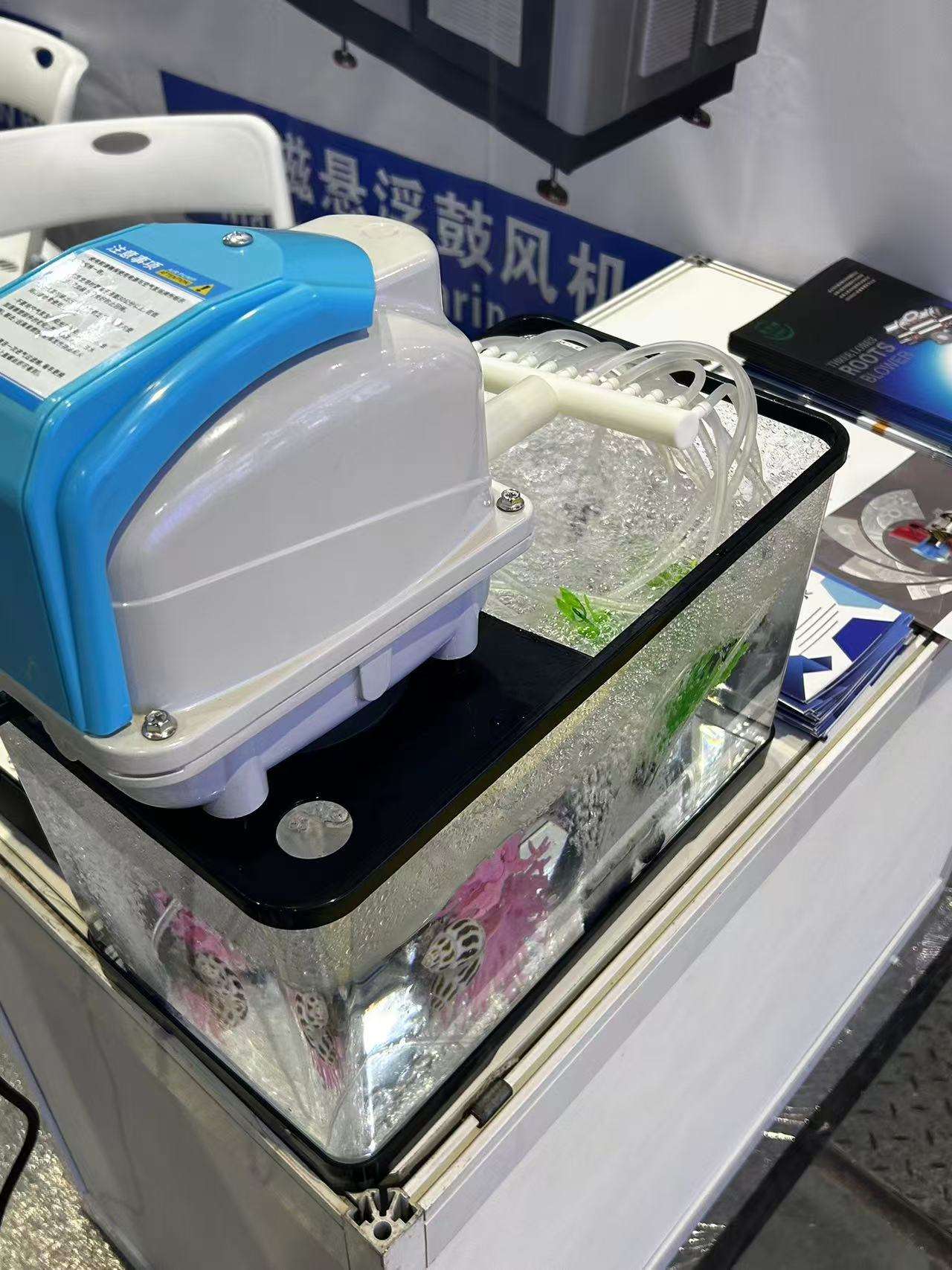 High Quality Aquarium External - Aquarium Fish High Price ulasan dan harga