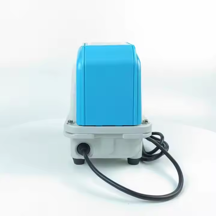 High Quality Aquarium External - Aquarium Fish High Price ulasan dan harga