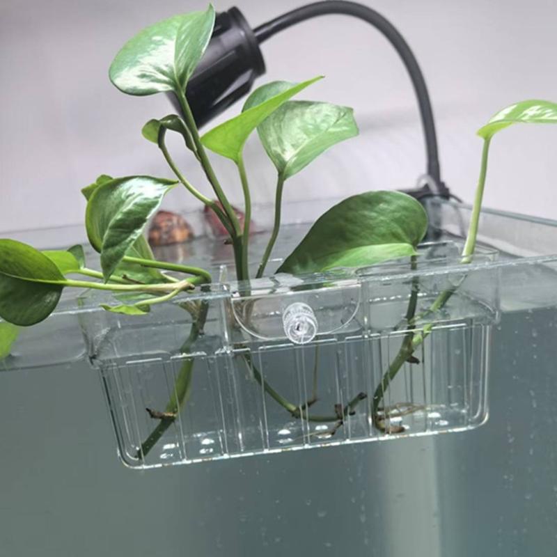 Hydroponic Plant Basket Food G - Aquarium Fishes ulasan dan harga