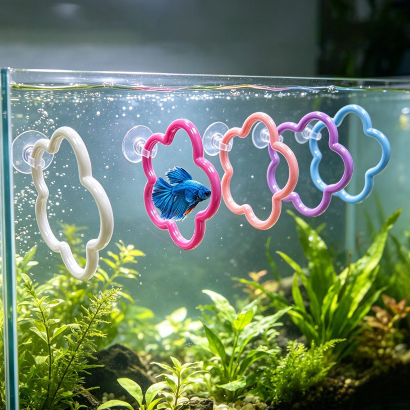 Betta Fish Toys 5 Pieces Color - Aquarium Fish Betta ulasan dan harga