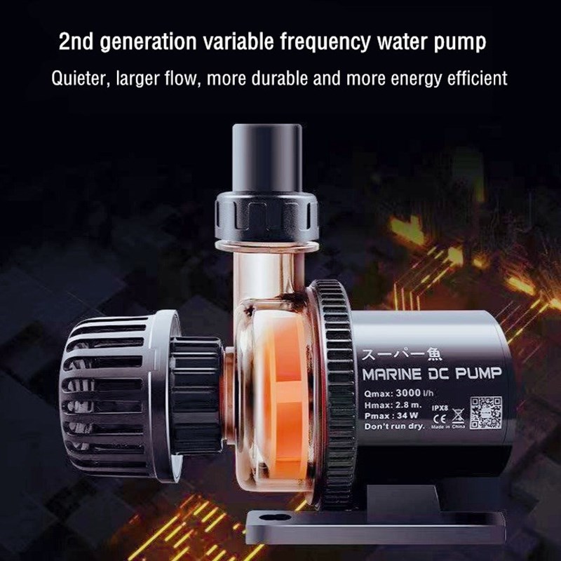 Custom Factory Wholesale Price - Aquarium Fish High Price ulasan dan harga