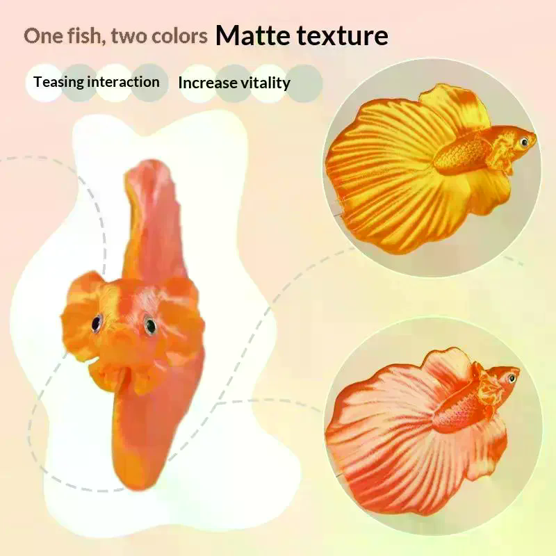 Colorful Aquarium Betta Traini - Aquarium Fish Betta ulasan dan harga