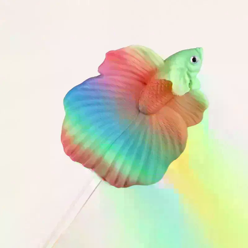 Colorful Aquarium Betta Traini - Aquarium Fish Betta ulasan dan harga
