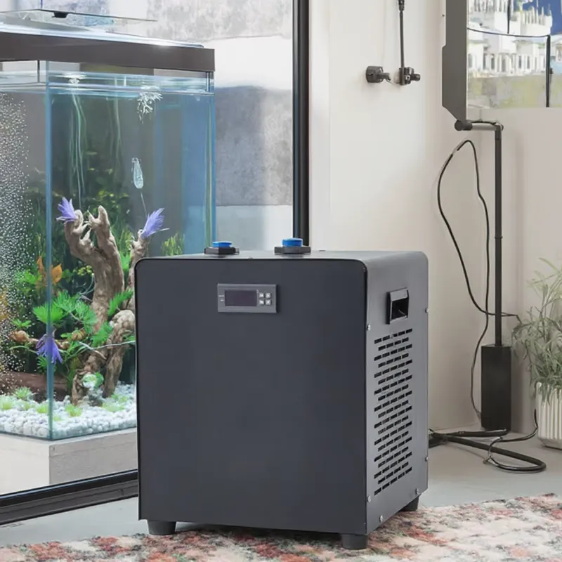 1/2HP 1HP Ice Bath Aquarium Co - Aquarium Fish Cold Water ulasan dan harga