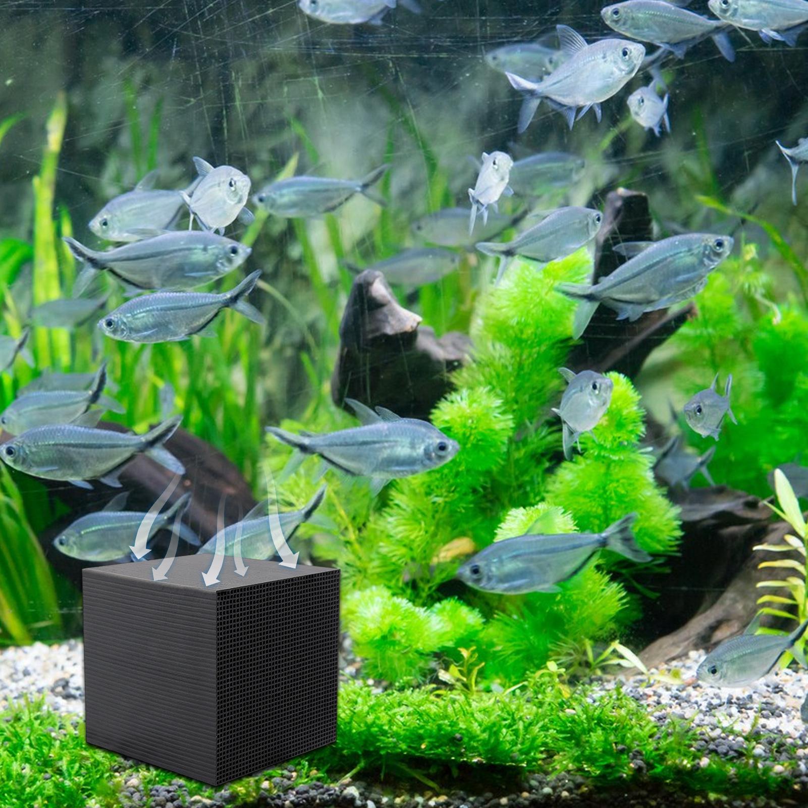 Aquarium Water Purifier Cube U - Aquarium Fish Lego ulasan dan harga