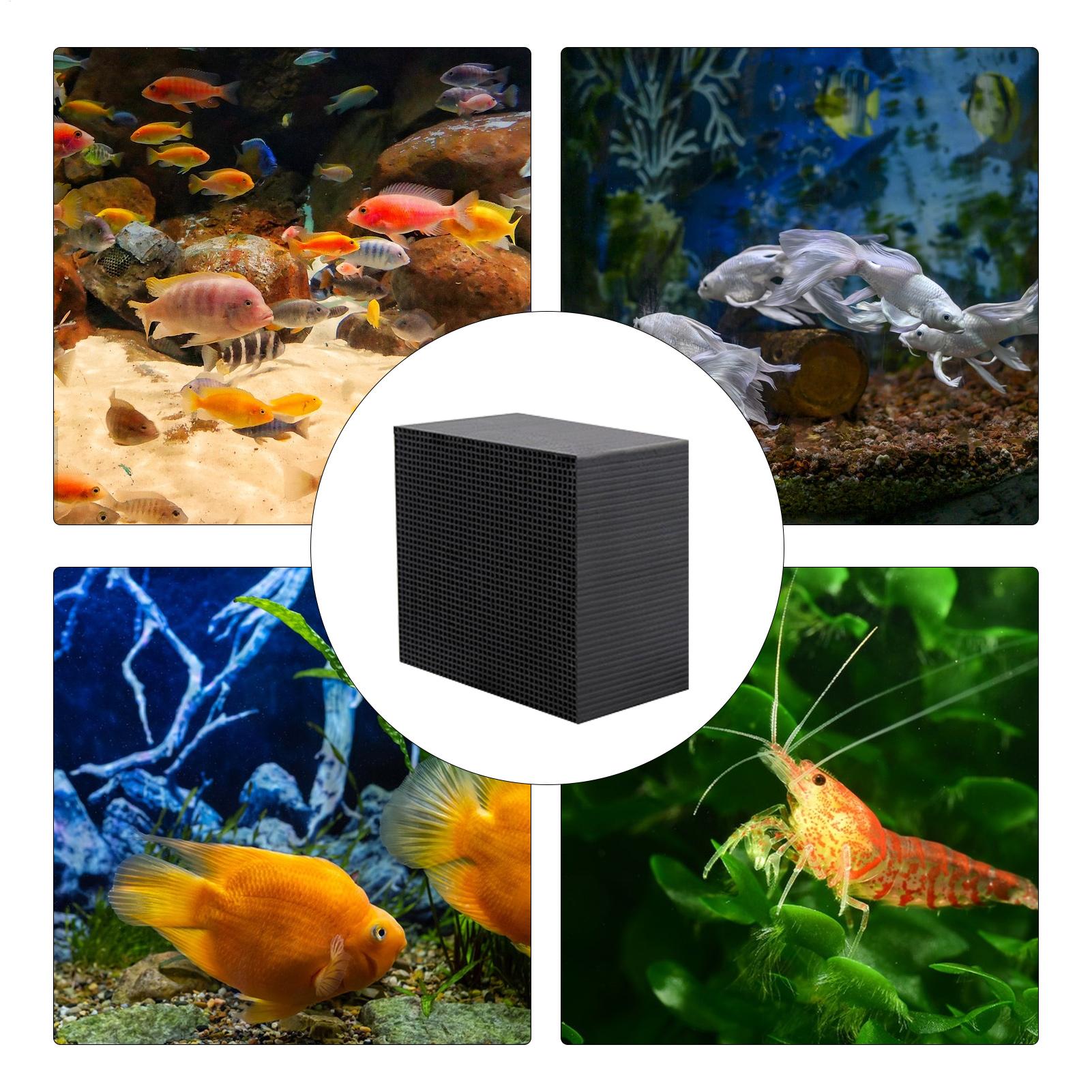 Aquarium Water Purifier Cube U - Aquarium Fish Lego ulasan dan harga