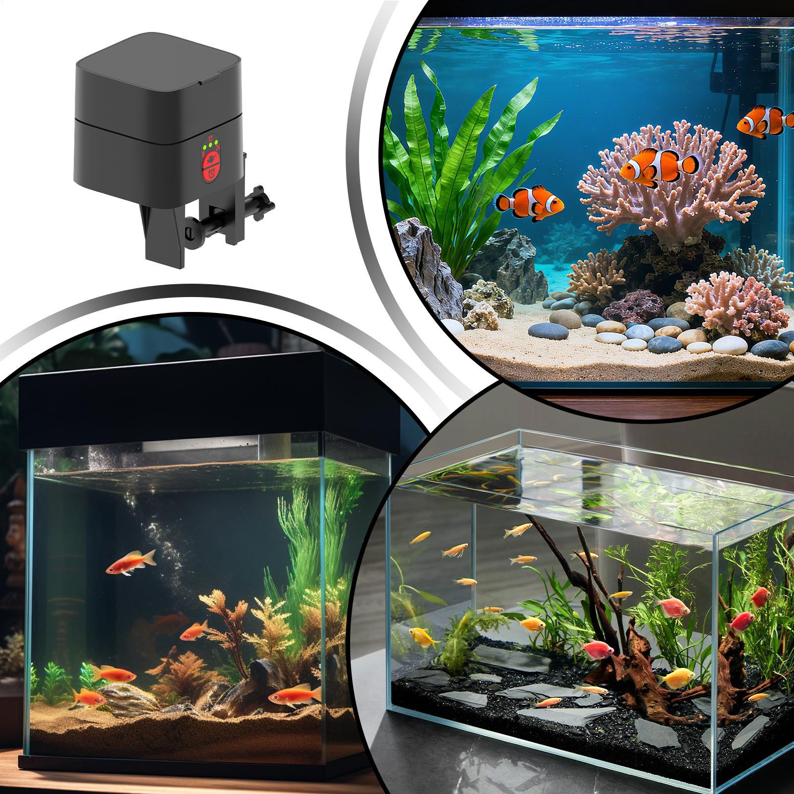 Auto Fish Feeder For Aquarium  - Aquarium Fish Feeder Automatic ulasan dan harga