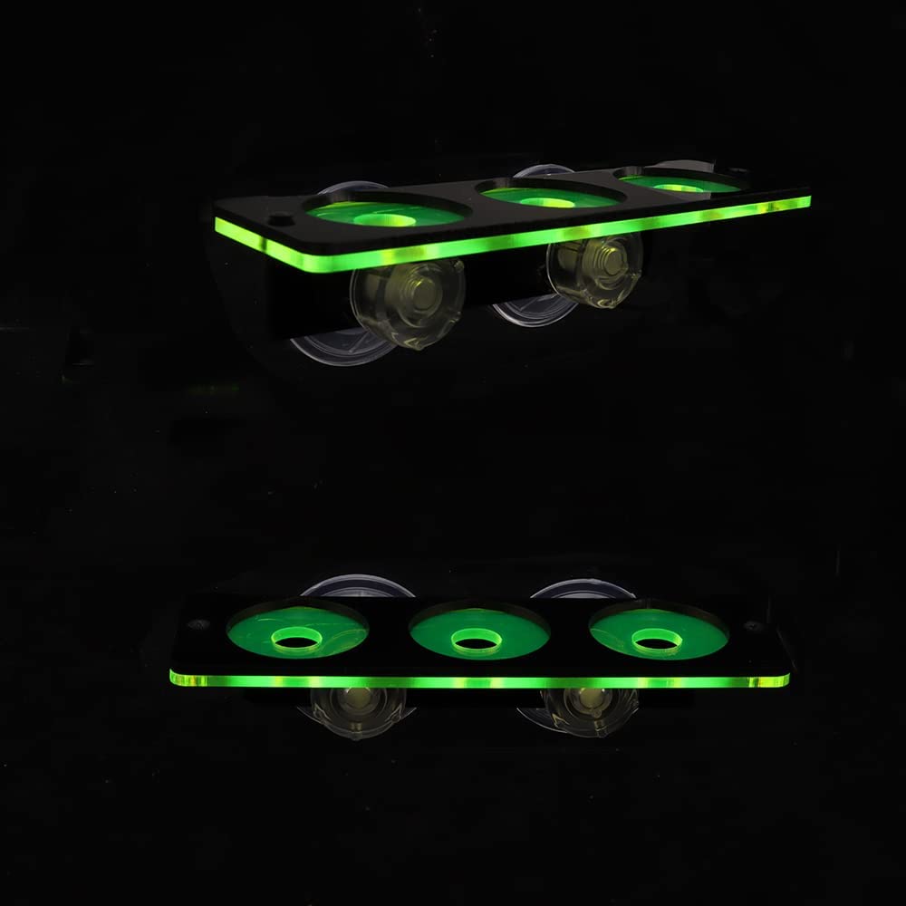 Fluorescent Coral Frag Plug Br - Aquarium Fish Cichlid ulasan dan harga