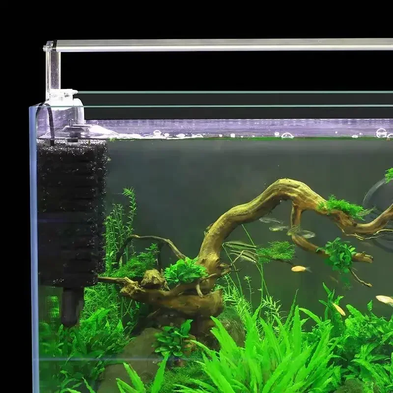 3-IN-1 Clip on Electric Power  - Aquarium Fish Electric ulasan dan harga