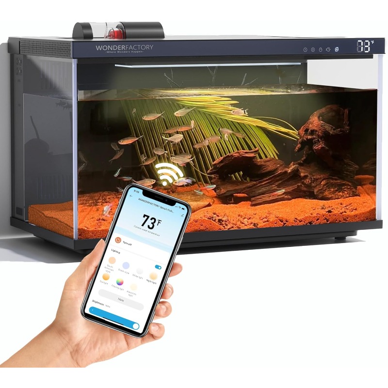 Smart Aquarium, Glass Fish Tan - Aquarium Fish Feeder Automatic ulasan dan harga