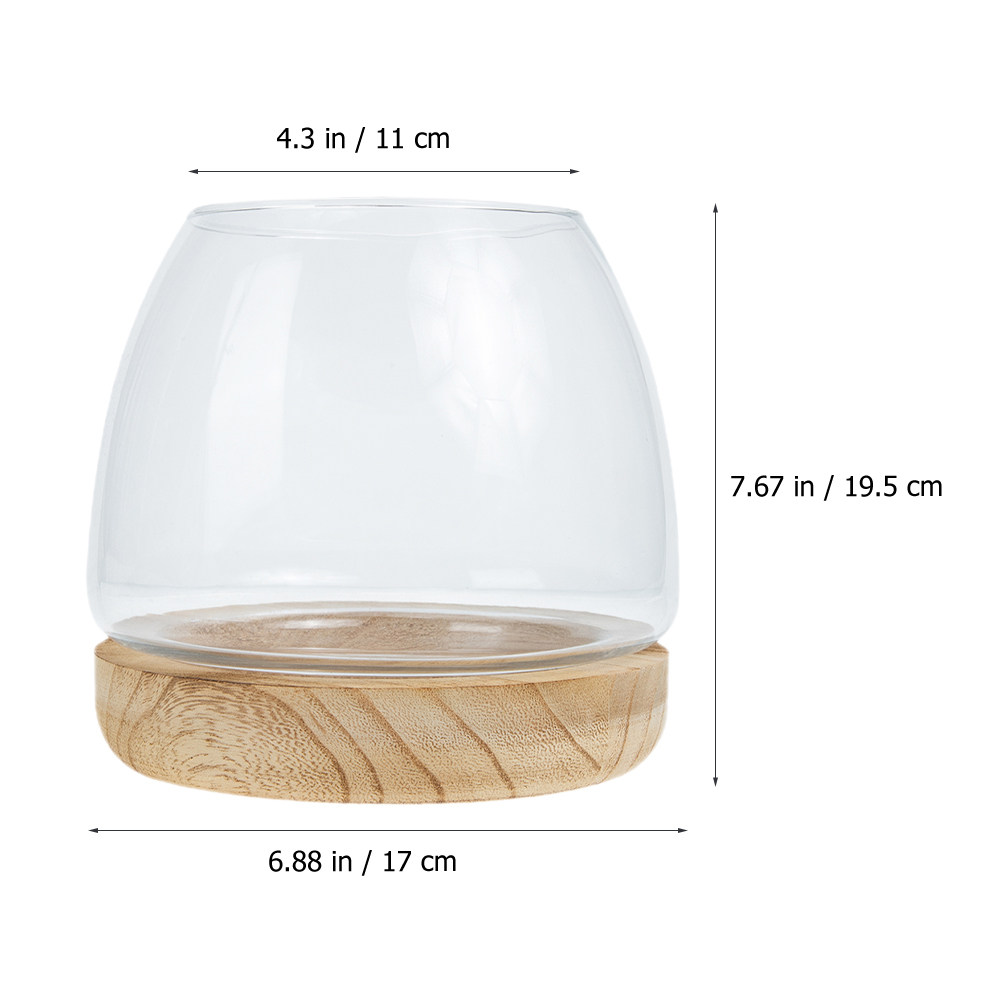 1Set Clear Glass Hydroponic Pl - Aquarium Fish Bowl ulasan dan harga