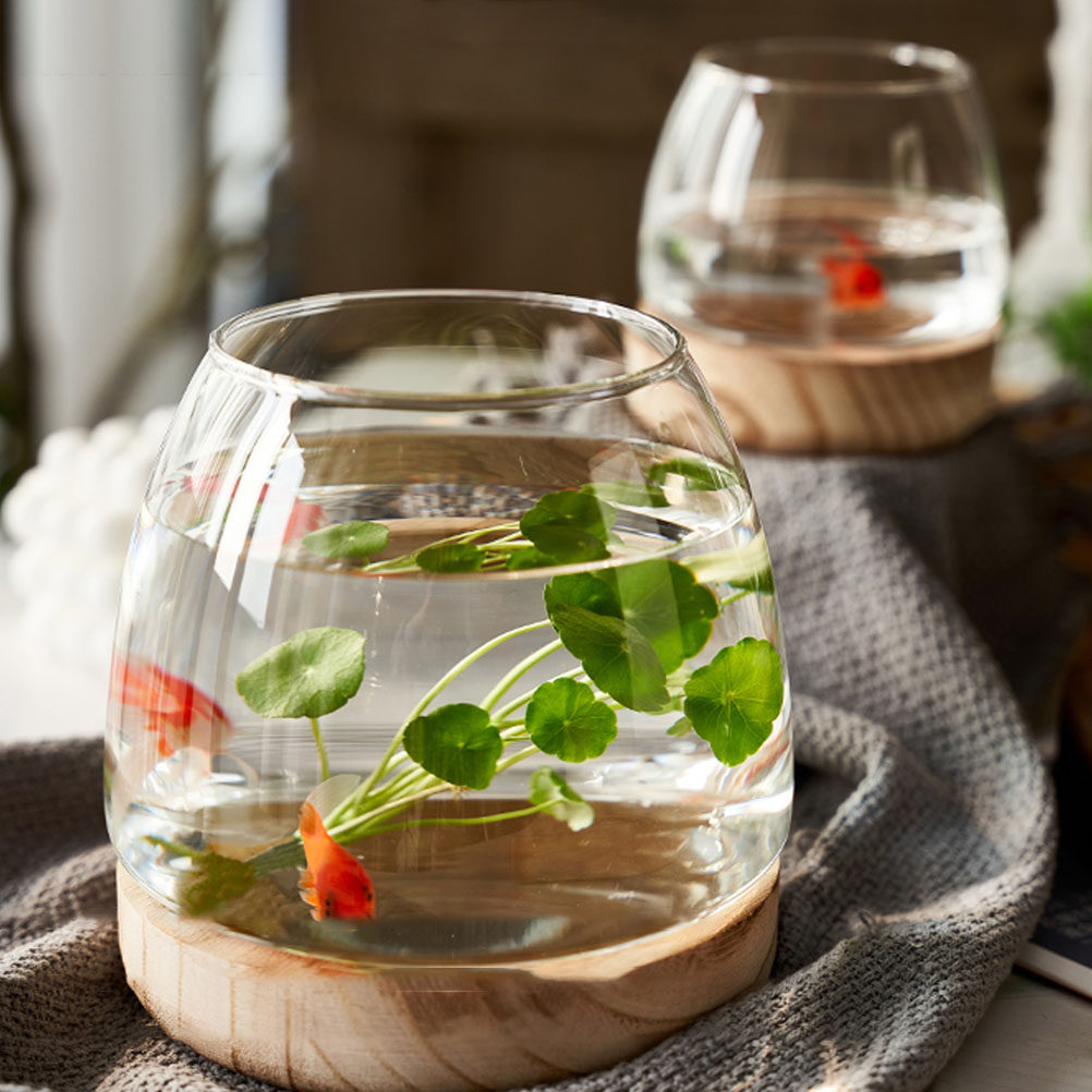 1Set Clear Glass Hydroponic Pl - Aquarium Fish Bowl ulasan dan harga
