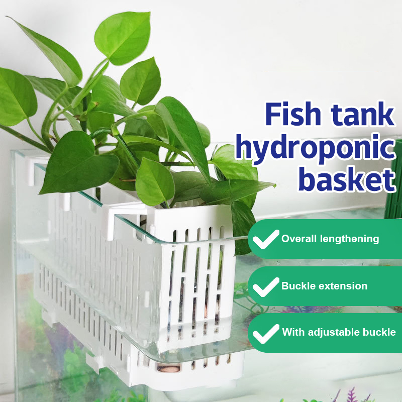 【F】Fish Tank Hanging Planter A - Aquarium Fish Photography ulasan dan harga