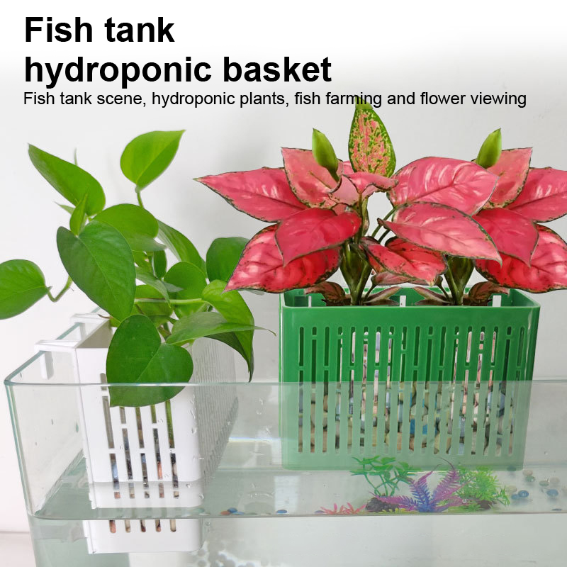 【F】Fish Tank Hanging Planter A - Aquarium Fish Photography ulasan dan harga