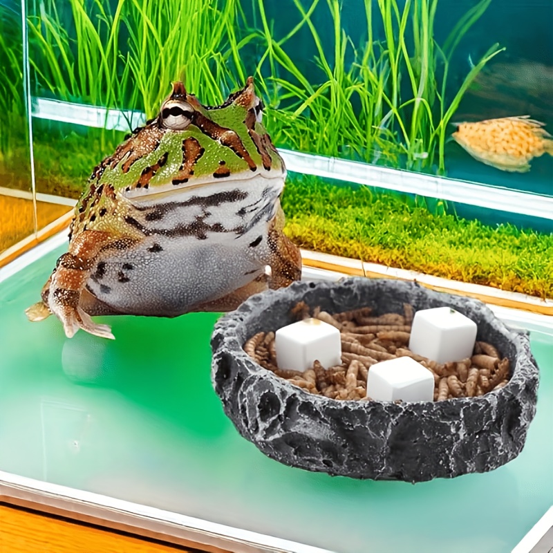 6 Pcs Fish Tank Calcium Block  - Aquarium Fish Lego ulasan dan harga
