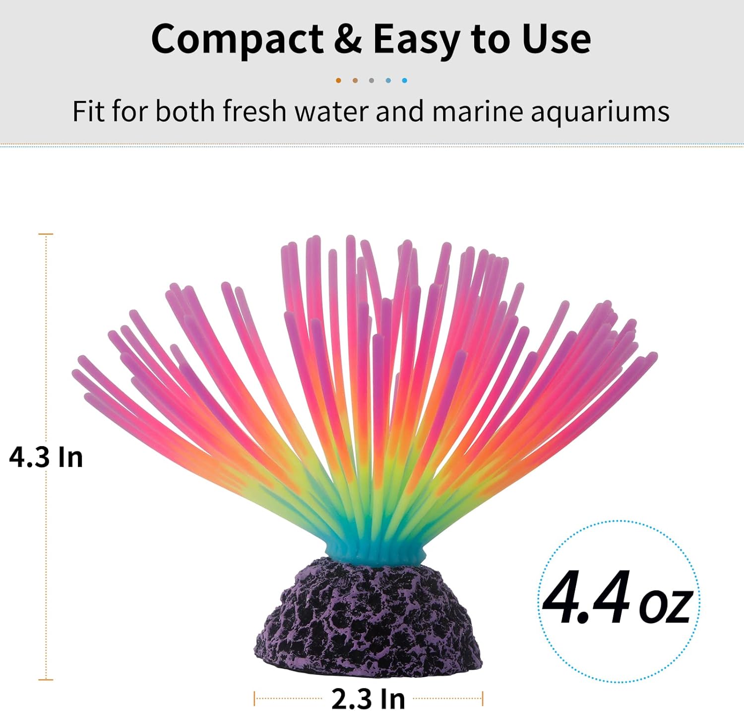 Aquarium Imitative Rainbow Sea - Aquarium Fish Rainbow ulasan dan harga