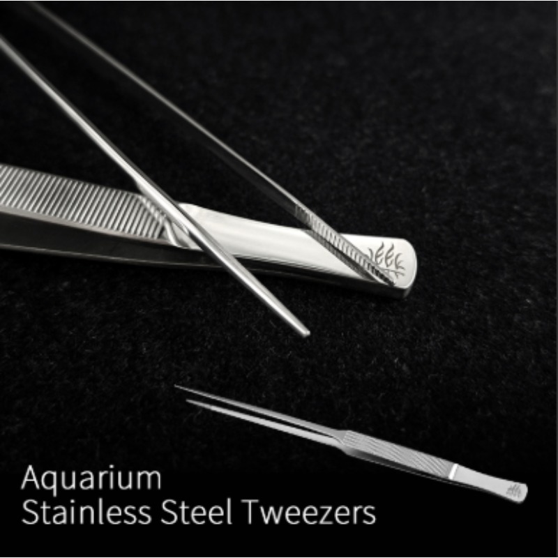Week Aqua Stainless Steel Aqua - Aquarium Fish Photography ulasan dan harga