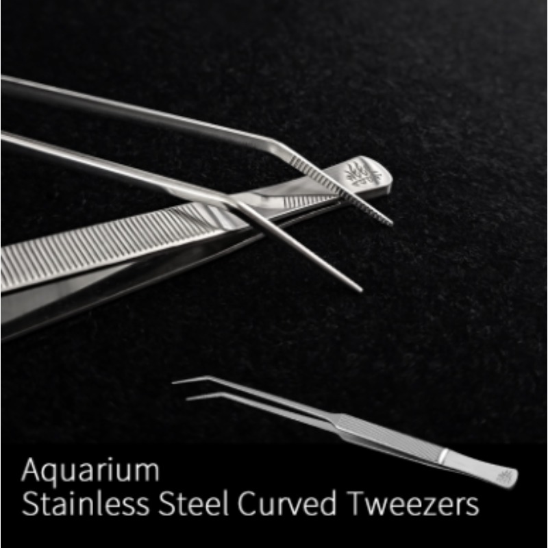 Week Aqua Stainless Steel Aqua - Aquarium Fish Photography ulasan dan harga
